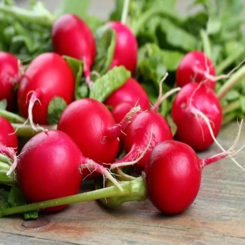 Семена Редис Вена F1, 250 г - фото