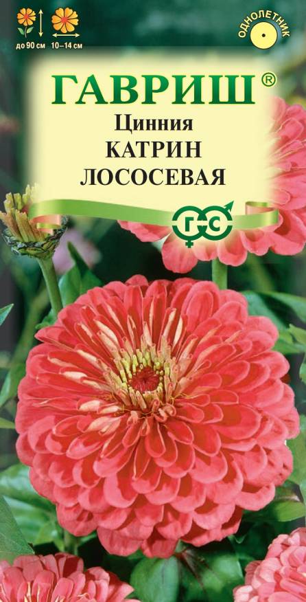 Семена Цинния Катрин лососевая, 0,3 г - фото