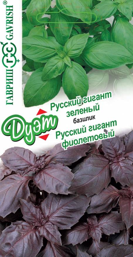 Семена Набор семян Базилик Русский гиган зеленый, 0,1 г и Базилик Русский гигант фиолетовый, 0,1 г - фото