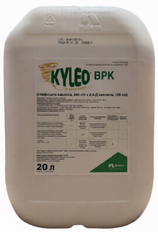 Килео, 20 л - фото