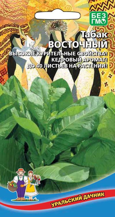 Семена Табак Восточный, 0,05 г - фото