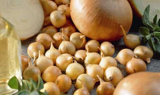 Лук-севок Трой 10-21 мм, 500 г - фото