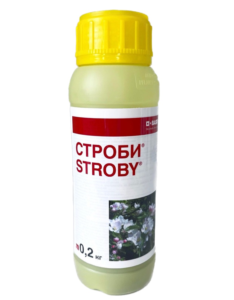 Строби, 0,2 кг - фото