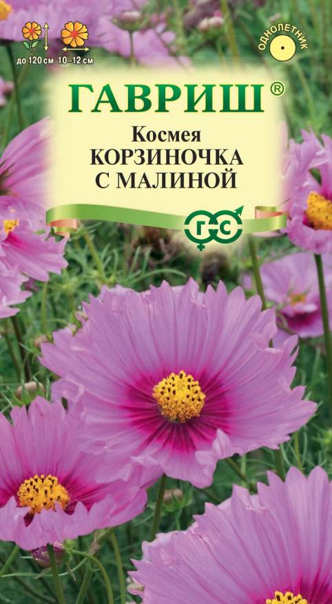 Семена Космея Корзиночка с малиной, 0,3 г - фото