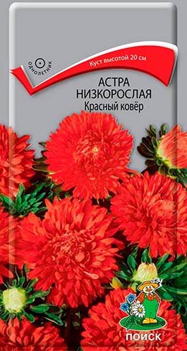 Семена Астра Низкорослая Красный ковер, 0,2 г - фото