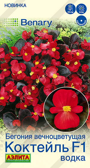 Семена Бегония вечноцветущая Коктейль F1 водка, 7 шт - фото