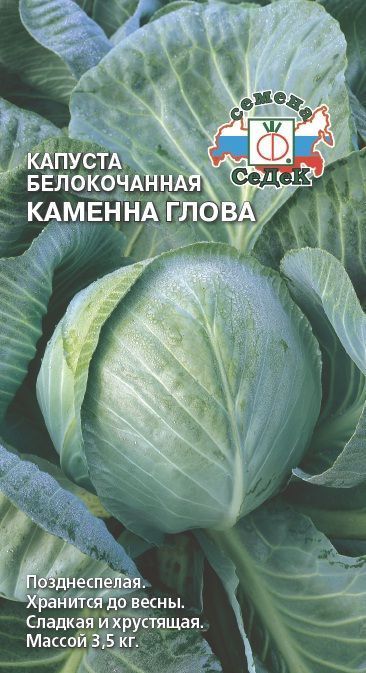 Семена Капуста Каменна глова, 0,5 г - фото