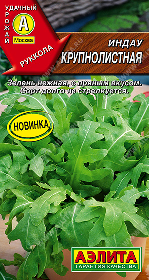 Семена Индау (рукола) Крупнолистная, 0,3 г - фото