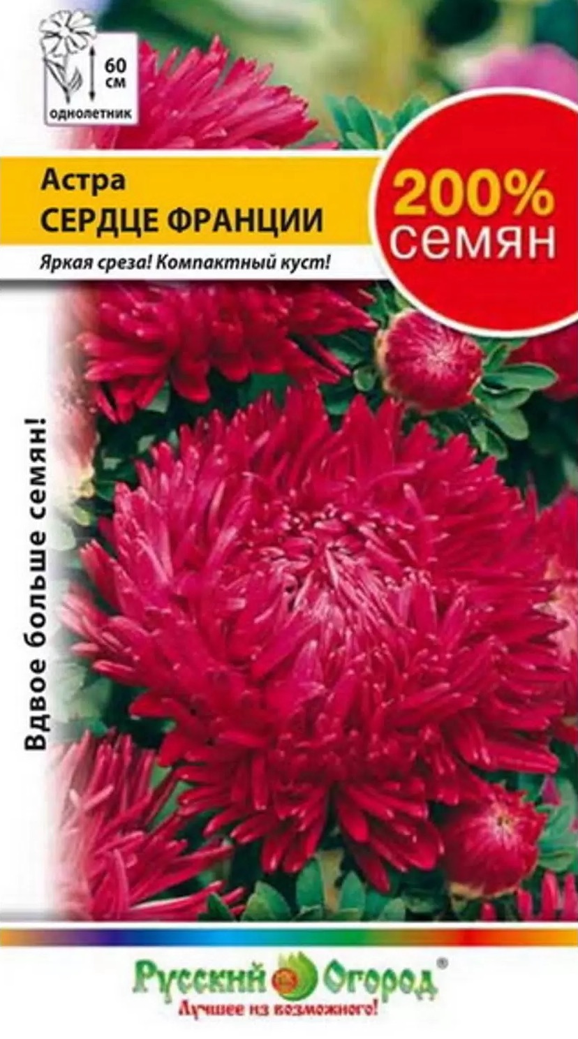 Семена Астра Сердце Франции, 0,5 г - фото