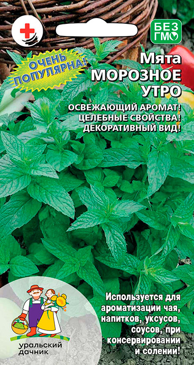 Семена Мята Морозное утро, 0,05 г - фото