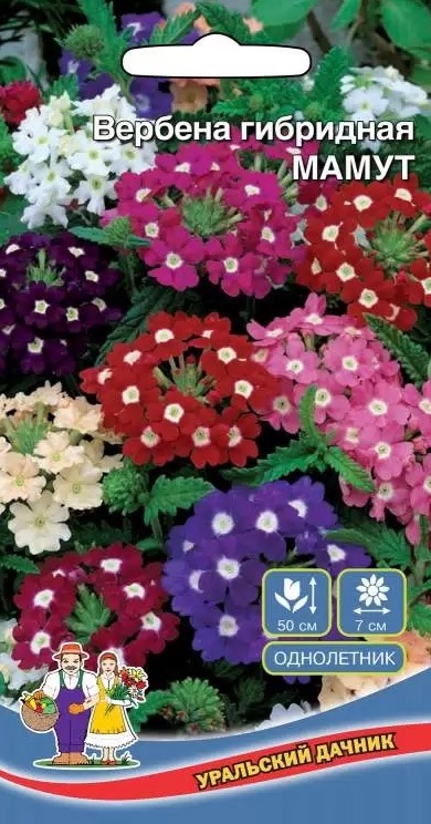 Семена Вербена гибридная Мамут, 0,1 г УД - фото