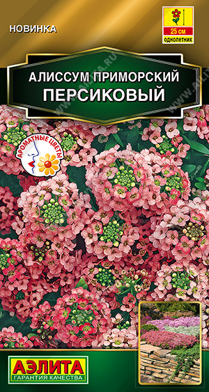 Семена Алиссум приморский Персиковый, 0,1 г - фото