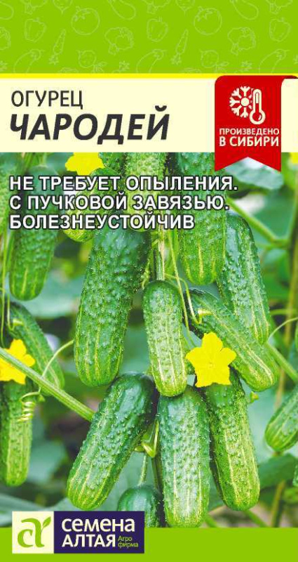 Семена Огурец Чародей F1, 5 шт - фото