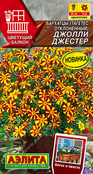 Семена Бархатцы Джолли Джестер отклоненные, 0,1 г - фото