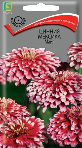 Семена Цинния Мексика Майя, 10 шт - фото