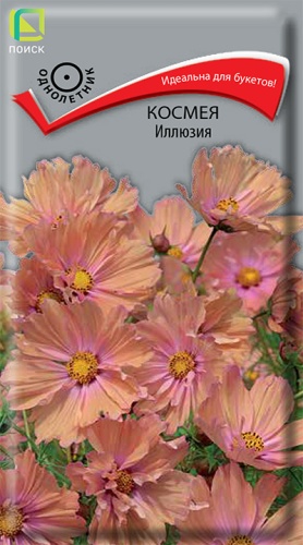 Семена Космея Иллюзия, 10 шт - фото