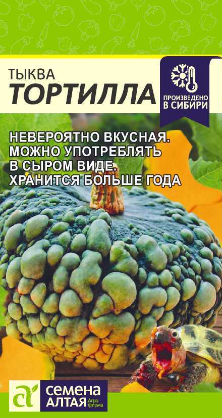 Семена Тыква Тортилла, 1 г - фото