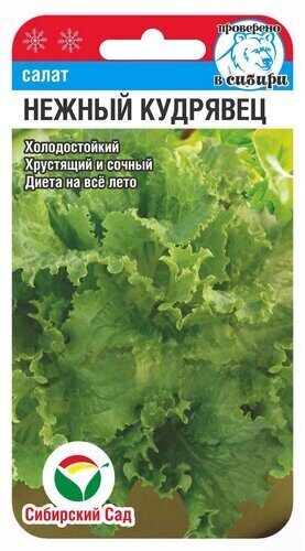 Семена Салат Нежный кудрявец, 0,5 г - фото