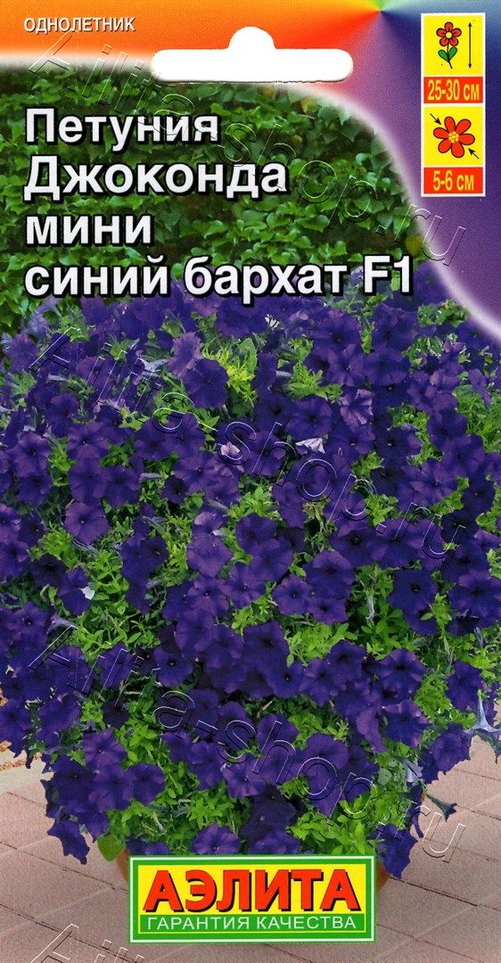Семена Петуния Джоконда мини F1 синий бархат, 7 шт - фото