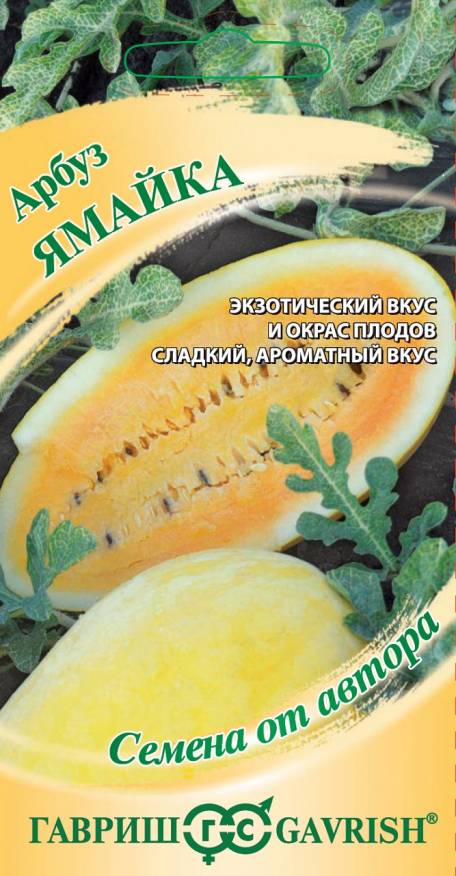 Семена Арбуз Ямайка, 5 шт - фото