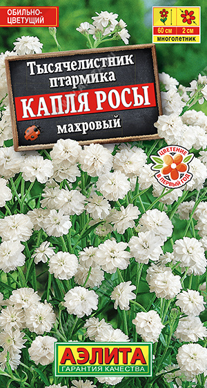 Семена Тысячелистник махровый Капля росы, 0,1 г - фото