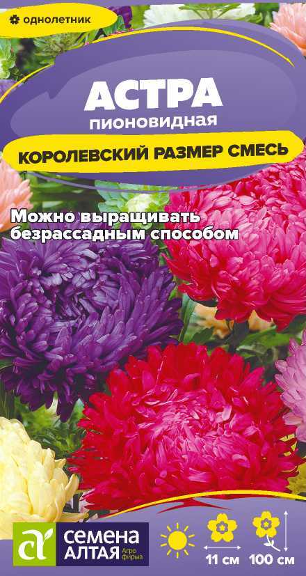 Семена Астра Королевский размер, 0,1 г - фото