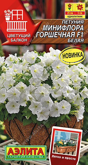 Семена Петуния Минифлора горшечная F1 белая, 5 шт - фото