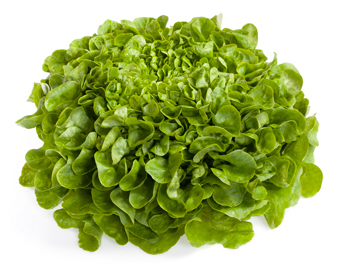 Семена Салат Кук, 20 шт - фото