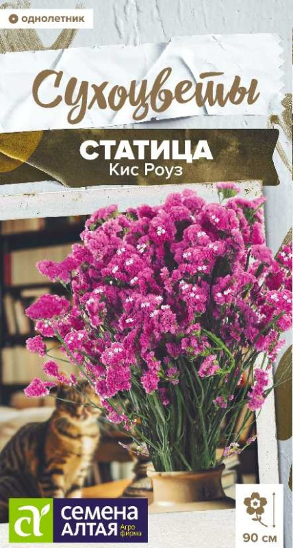 Семена Статица Кис Роуз, 7 шт - фото