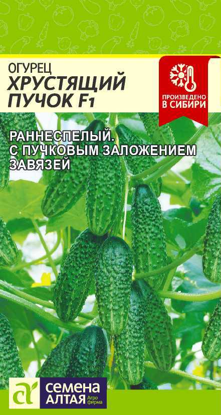 Семена Огурец Хрустящий Пучок, 5 шт - фото