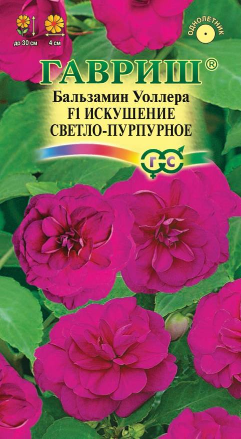 Семена Бальзамин Уоллера Искушение светло-пурпурное F1, 4 шт - фото