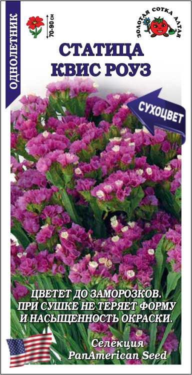 Семена Статица Квис Роуз, 10 шт - фото