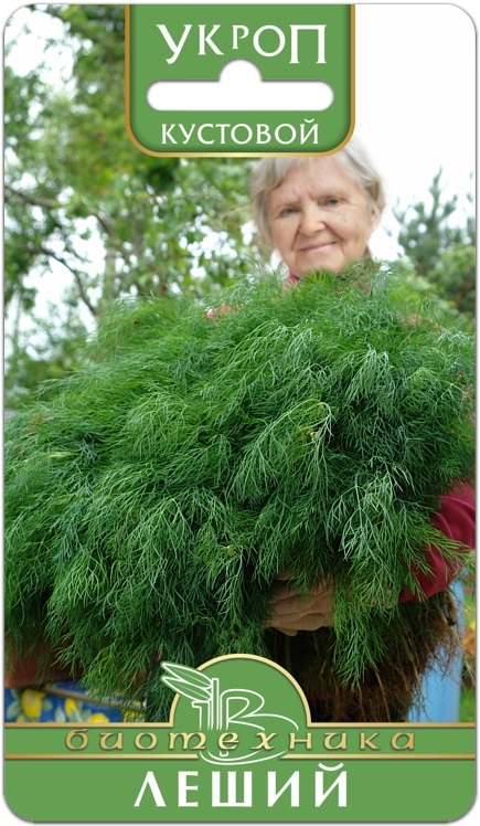 Семена Укроп Леший, 1 г - фото