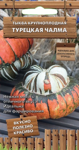 Семена Тыква крупноплодная Турецкая чалма, 5 шт - фото