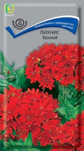 Семена Лихнис красный, 0,1 г - фото