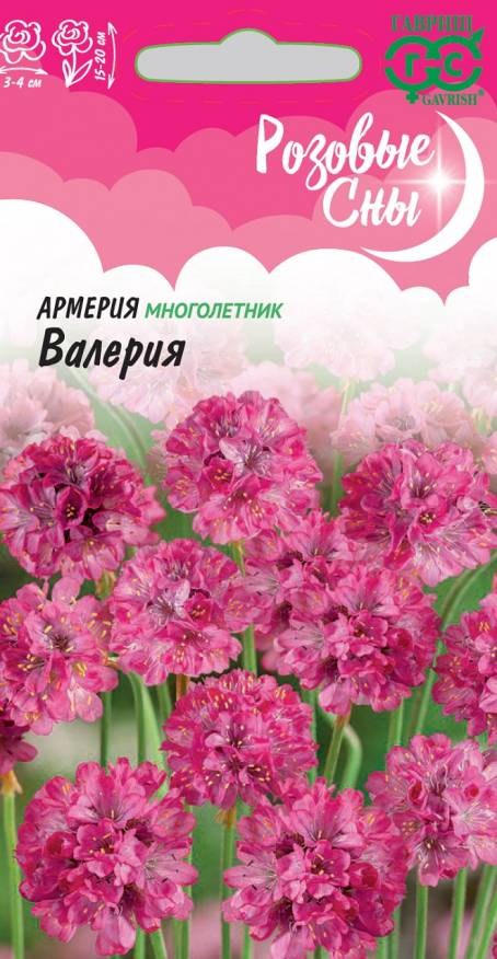 Семена Армерия Валерия, 0,02 г - фото