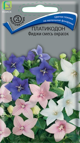 Семена Платикодон Фиджи смесь окрасок, 25 шт - фото