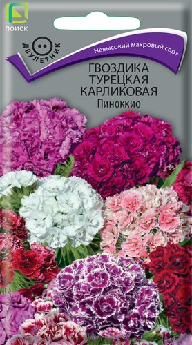 Семена Гвоздика турецкая карликовая Пиноккио, 0,3 г - фото
