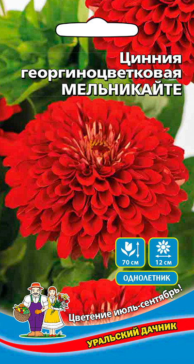 Семена Цинния георгиноцветковая Мельникайте, 0,2 г - фото