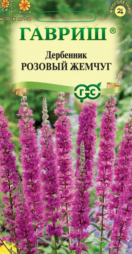 Семена Дербенник иволистный Розовый жемчуг, 0,03 г - фото