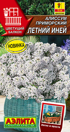 Семена Алиссум Летний иней, 0,05 г - фото