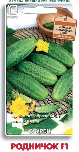 Семена Огурец Родничок F1, 12 шт Поиск - фото
