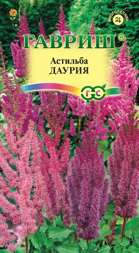 Семена Астильба Даурия смесь, 0,05 г - фото