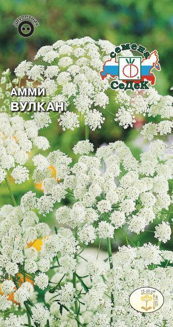 Семена Амми Вулкан, 0,1 г - фото