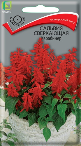 Семена Сальвия сверкающая Карабинер, 0,1 г Поиск - фото