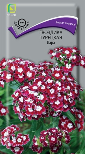 Семена Гвоздика турецкая Лара, 0,3 г - фото
