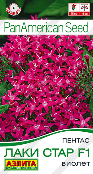 Семена Пентас Лаки стар F1 виолет, 3 шт - фото