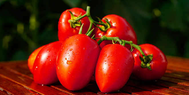 Семена Томат Дино, 500 шт - фото