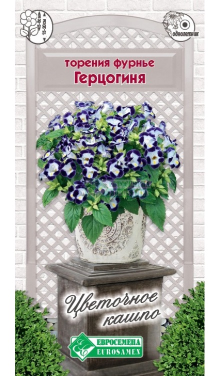 Семена Торения фурнье Герцогиня, 5 шт - фото