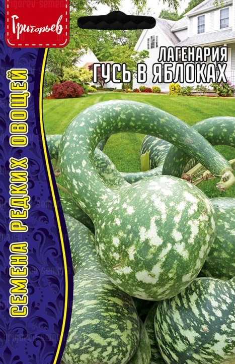 Семена Лагенария Гусь в яблоках, 3 шт - фото, картинка Семена Лагенария Гусь в яблоках, 3 шт - фото